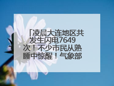 凌晨大连地区共发生闪电7649次！不少市民从熟睡中惊醒！气象部门提醒