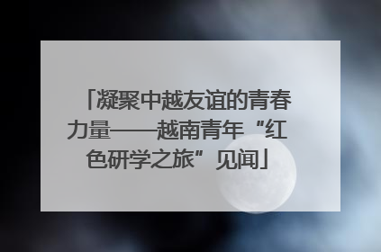 凝聚中越友谊的青春力量——越南青年“红色研学之旅”见闻