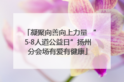 凝聚向善向上力量 “5·8人道公益日”扬州分会场有爱有健康