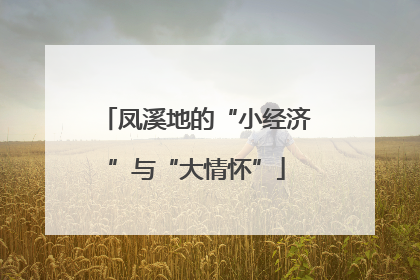 凤溪地的“小经济”与“大情怀”