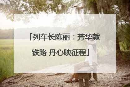 列车长陈丽：芳华献铁路 丹心映征程
