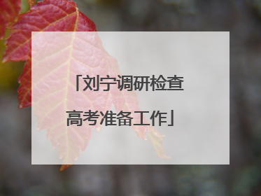 刘宁调研检查高考准备工作