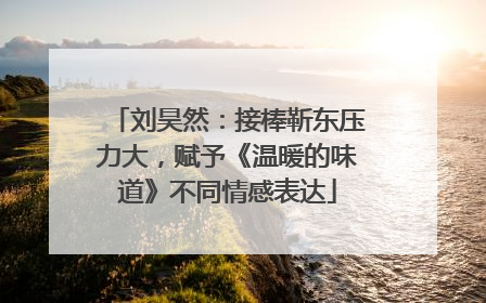刘昊然：接棒靳东压力大，赋予《温暖的味道》不同情感表达