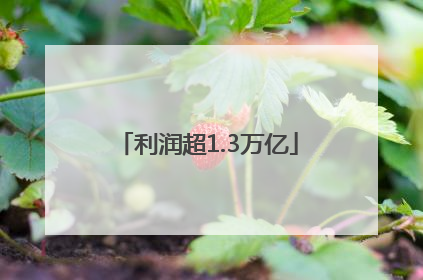 利润超1.3万亿