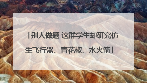 别人做题 这群学生却研究仿生飞行器、青花椒、水火箭