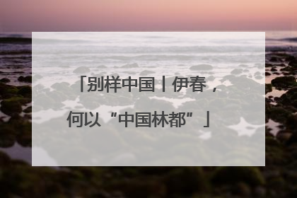 别样中国丨伊春，何以“中国林都”