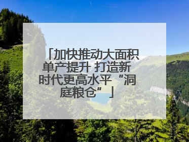 加快推动大面积单产提升 打造新时代更高水平“洞庭粮仓”