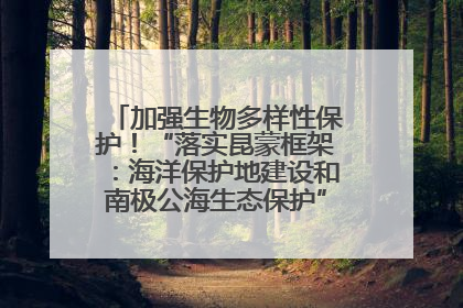 加强生物多样性保护！“落实昆蒙框架：海洋保护地建设和南极公海生态保护”主题论坛将举办