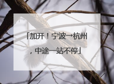 加开！宁波→杭州，中途一站不停
