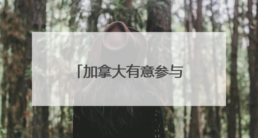 加拿大有意参与“金穹”计划