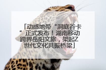 动感地带“洞庭谷卡”正式发布！湖南移动跨界岳阳文旅，架起Z世代文化共振桥梁