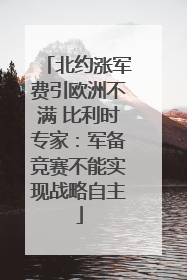 北约涨军费引欧洲不满 比利时专家：军备竞赛不能实现战略自主