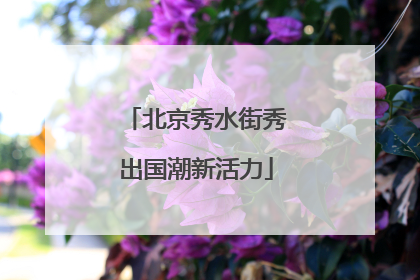 北京秀水街秀出国潮新活力