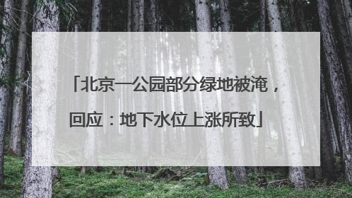 北京一公园部分绿地被淹，回应：地下水位上涨所致