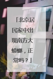 北京居民家中出现南方大蟑螂，正常吗？