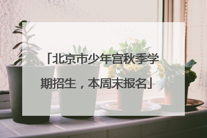 北京市少年宫秋季学期招生，本周末报名