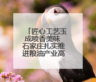 匠心工艺玉成喷香美味 石家庄扎实推进粮油产业高质量发展