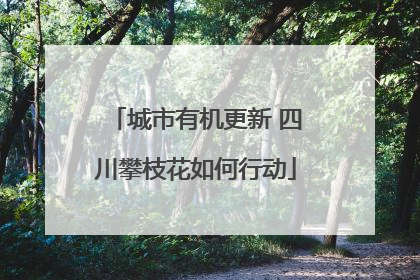 城市有机更新 四川攀枝花如何行动
