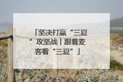 坚决打赢“三夏”攻坚战丨跟着麦客看“三夏”