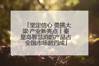 坚定信心 勇挑大梁·产业新亮点丨秦皇岛智慧消防产品占全国市场超四成