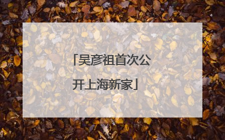 吴彦祖首次公开上海新家