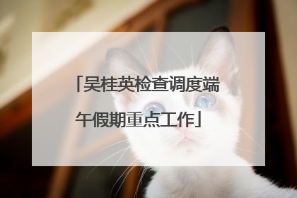 吴桂英检查调度端午假期重点工作
