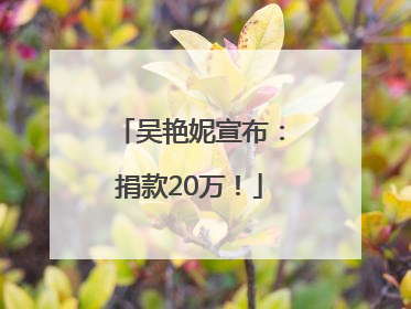 吴艳妮宣布：捐款20万！
