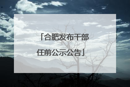合肥发布干部任前公示公告