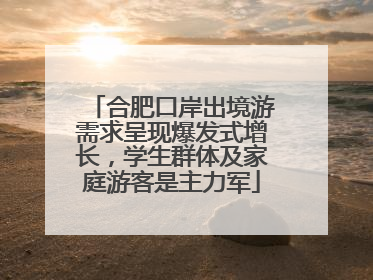 合肥口岸出境游需求呈现爆发式增长，学生群体及家庭游客是主力军