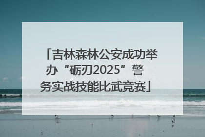 吉林森林公安成功举办“砺刃2025”警务实战技能比武竞赛