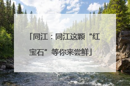 同江：同江这颗“红宝石”等你来尝鲜