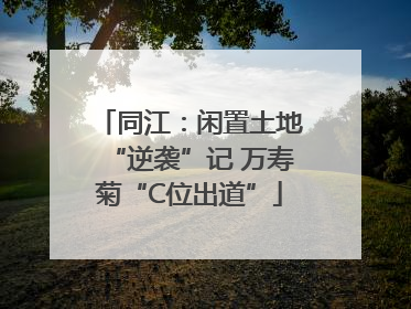 同江：闲置土地“逆袭”记 万寿菊“C位出道”