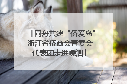 同舟共建“侨爱岛” 浙江省侨商会青委会代表团走进嵊泗