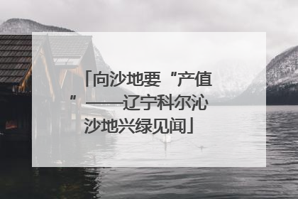 向沙地要“产值”——辽宁科尔沁沙地兴绿见闻