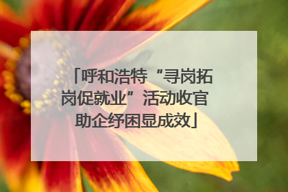 呼和浩特“寻岗拓岗促就业”活动收官 助企纾困显成效