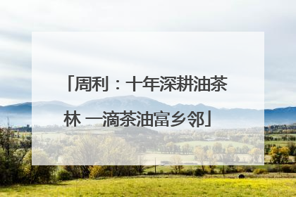 周利：十年深耕油茶林 一滴茶油富乡邻