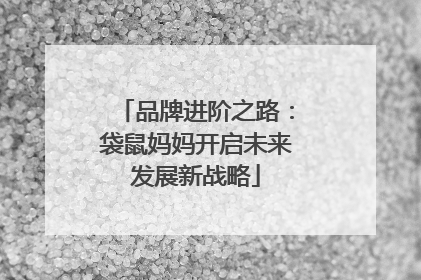 品牌进阶之路：袋鼠妈妈开启未来发展新战略