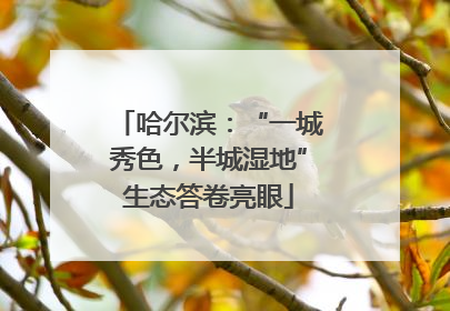 哈尔滨：“一城秀色，半城湿地”生态答卷亮眼