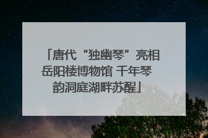 唐代“独幽琴”亮相岳阳楼博物馆 千年琴韵洞庭湖畔苏醒