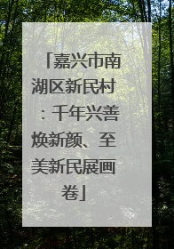 嘉兴市南湖区新民村：千年兴善焕新颜、至美新民展画卷