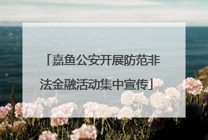 嘉鱼公安开展防范非法金融活动集中宣传