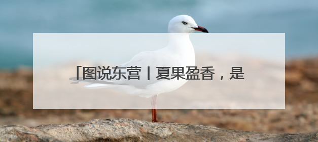 图说东营丨夏果盈香，是盐碱地写给舌尖的情书