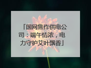 国网焦作供电公司：端午情浓，电力守护艾叶飘香