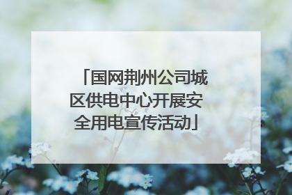 国网荆州公司城区供电中心开展安全用电宣传活动