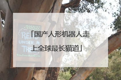 国产人形机器人走上全球最长猫道