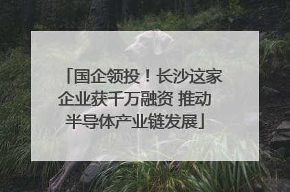 国企领投！长沙这家企业获千万融资 推动半导体产业链发展