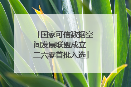 国家可信数据空间发展联盟成立 三六零首批入选