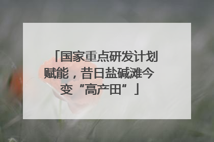 国家重点研发计划赋能，昔日盐碱滩今变“高产田”