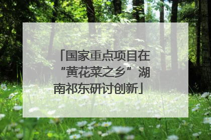 国家重点项目在“黄花菜之乡”湖南祁东研讨创新