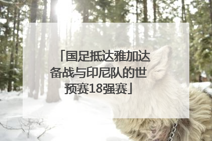 国足抵达雅加达备战与印尼队的世预赛18强赛